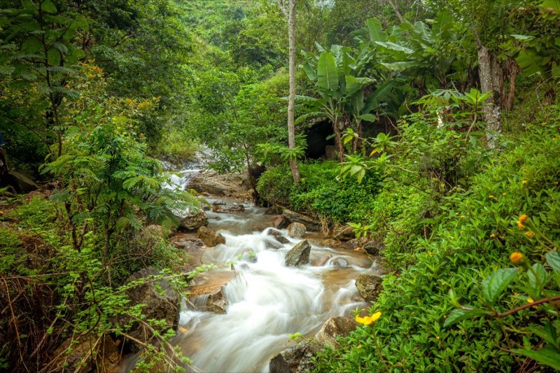 Mountain stream and water resources in the field